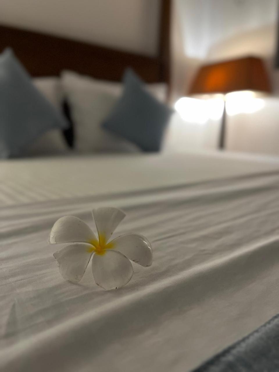 Beach Club Apartments Induruwa Dış mekan fotoğraf